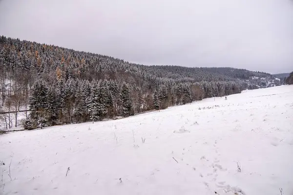 First winter hike through the snow-covered Thuringian Forest near Tambach-Dietharz - Thuringia - Germany
