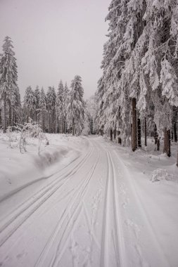 Karla kaplı Thüringen Ormanı 'nda, Floh-Seligenthal - Thüringen - Almanya