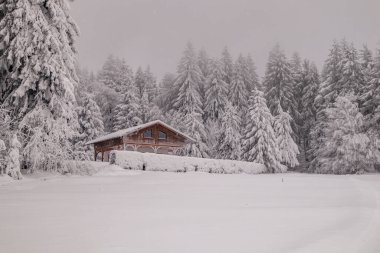 Karla kaplı Thüringen Ormanı 'nda, Floh-Seligenthal - Thüringen - Almanya