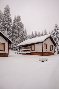 Karla kaplı Thüringen Ormanı 'nda, Floh-Seligenthal - Thüringen - Almanya