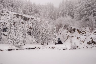 Karla kaplı Thüringen Ormanı 'nda, Floh-Seligenthal - Thüringen - Almanya