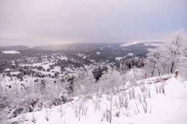 Oberhof yakınlarındaki Thüringen Ormanı 'nda kısa kış yürüyüşü.