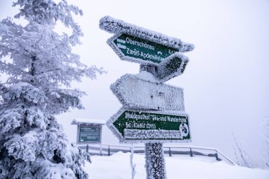 Oberhof yakınlarındaki Thüringen Ormanı 'nda kısa kış yürüyüşü.