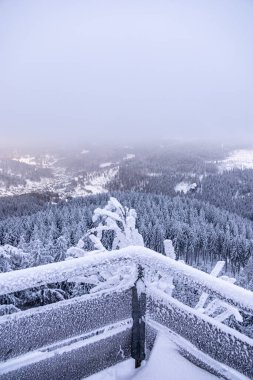 Oberhof yakınlarındaki Thüringen Ormanı 'nda kısa kış yürüyüşü.