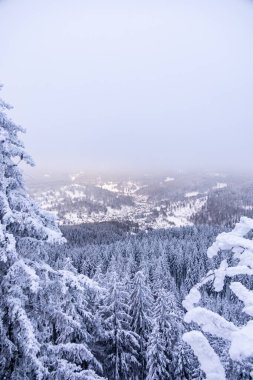 Oberhof yakınlarındaki Thüringen Ormanı 'nda kısa kış yürüyüşü.