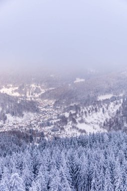 Oberhof yakınlarındaki Thüringen Ormanı 'nda kısa kış yürüyüşü.