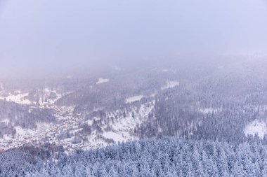 Oberhof yakınlarındaki Thüringen Ormanı 'nda kısa kış yürüyüşü.