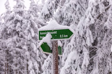 Oberhof yakınlarındaki Thüringen Ormanı 'nda kısa kış yürüyüşü.