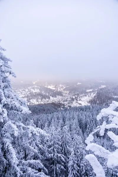 Oberhof yakınlarındaki Thüringen Ormanı 'nda kısa kış yürüyüşü.