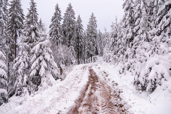 Short winter hike through deep snow in the Thuringian Forest near Oberhof - Thuringia - Germany
