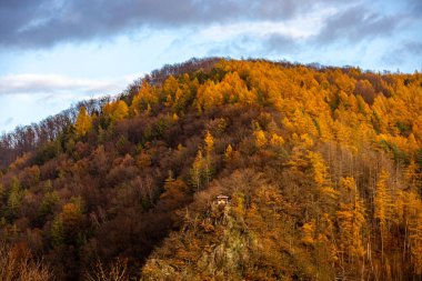 Asbach - Thüringen - Almanya yakınlarındaki kırsal bölgede kısa sonbahar yürüyüşü