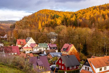 Asbach - Thüringen - Almanya yakınlarındaki kırsal bölgede kısa sonbahar yürüyüşü