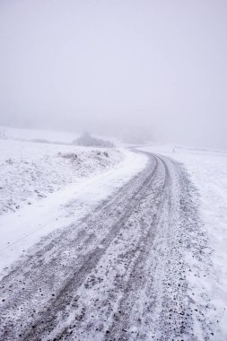 Karla kaplı Thüringen Ormanı 'nda, Floh-Seligenthal - Thüringen - Almanya