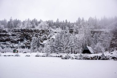 Karla kaplı Thüringen Ormanı 'nda, Floh-Seligenthal - Thüringen - Almanya