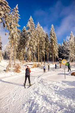 Karlı Thuringian Ormanı 'nda kayak yaparken Floh-Seligenthal - Thüringen - Almanya
