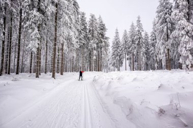 Karlı Thuringian Ormanı 'nda kayak yaparken Floh-Seligenthal - Thüringen - Almanya