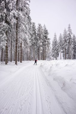 Karlı Thuringian Ormanı 'nda kayak yaparken Floh-Seligenthal - Thüringen - Almanya