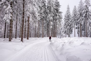 Karlı Thuringian Ormanı 'nda kayak yaparken Floh-Seligenthal - Thüringen - Almanya