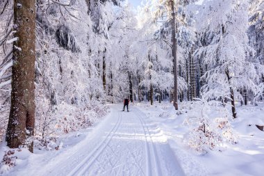 Karlı Thuringian Ormanı 'nda kayak yaparken Floh-Seligenthal - Thüringen - Almanya