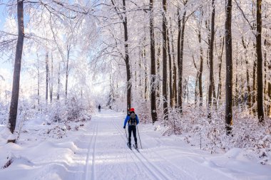 Karlı Thuringian Ormanı 'nda kayak yaparken Floh-Seligenthal - Thüringen - Almanya