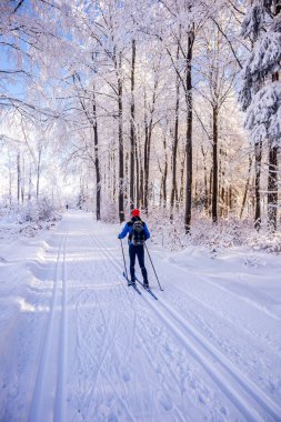 Karlı Thuringian Ormanı 'nda kayak yaparken Floh-Seligenthal - Thüringen - Almanya