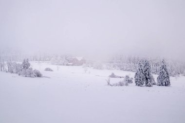 Karlı Thuringian Ormanı 'nda kayak yaparken Floh-Seligenthal - Thüringen - Almanya