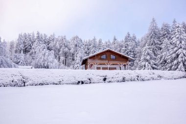 Karlı Thuringian Ormanı 'nda kayak yaparken Floh-Seligenthal - Thüringen - Almanya