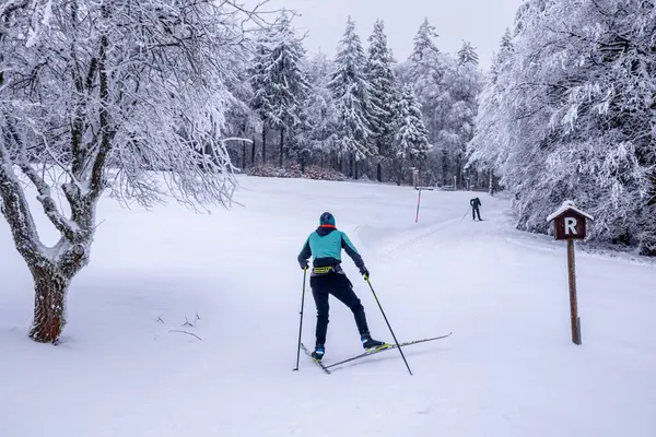 Karlı Thuringian Ormanı 'nda kayak yaparken Floh-Seligenthal - Thüringen - Almanya
