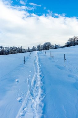 Brotterode - Thüringen yakınlarında karla kaplı Inselsberg etrafında kısa kış yürüyüşü