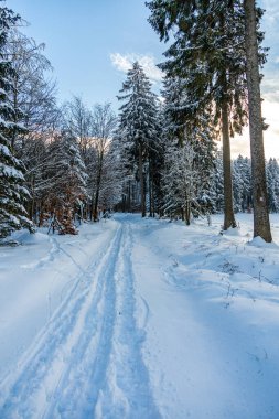 Brotterode - Thüringen yakınlarında karla kaplı Inselsberg etrafında kısa kış yürüyüşü