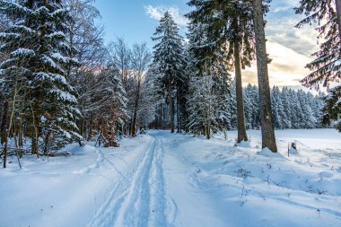 Brotterode - Thüringen yakınlarında karla kaplı Inselsberg etrafında kısa kış yürüyüşü