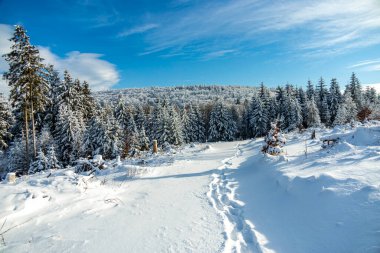 Brotterode - Thüringen yakınlarında karla kaplı Inselsberg etrafında kısa kış yürüyüşü