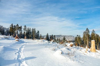 Brotterode - Thüringen yakınlarında karla kaplı Inselsberg etrafında kısa kış yürüyüşü