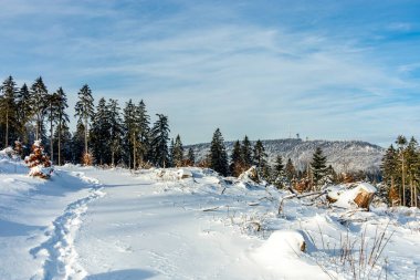 Brotterode - Thüringen yakınlarında karla kaplı Inselsberg etrafında kısa kış yürüyüşü