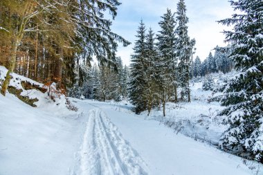Brotterode - Thüringen yakınlarında karla kaplı Inselsberg etrafında kısa kış yürüyüşü