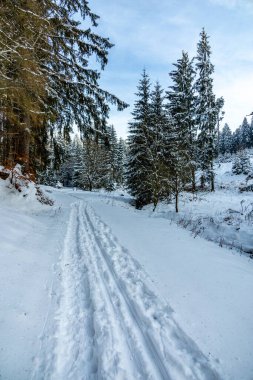 Brotterode - Thüringen yakınlarında karla kaplı Inselsberg etrafında kısa kış yürüyüşü