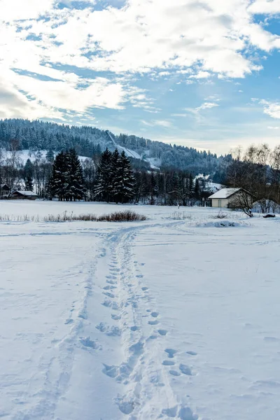 Short winter hike around the snow-covered Inselsberg near Brotterode - Thuringia - Germany