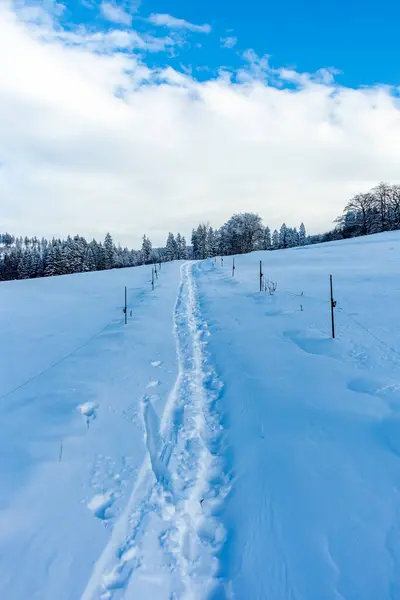 Brotterode - Thüringen yakınlarında karla kaplı Inselsberg etrafında kısa kış yürüyüşü