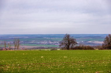 Bad Berka yakınlarındaki Ilm 'de bahar yürüyüşü muhteşem güneş ışığında - Thüringen - Almanya