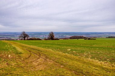 Bad Berka yakınlarındaki Ilm 'de bahar yürüyüşü muhteşem güneş ışığında - Thüringen - Almanya