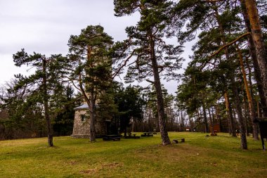 Bad Berka yakınlarındaki Ilm 'de bahar yürüyüşü muhteşem güneş ışığında - Thüringen - Almanya