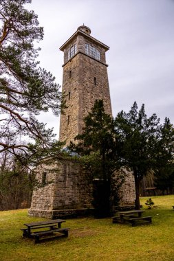 Bad Berka yakınlarındaki Ilm 'de bahar yürüyüşü muhteşem güneş ışığında - Thüringen - Almanya