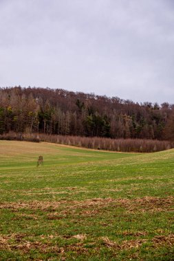 Bad Berka yakınlarındaki Ilm 'de bahar yürüyüşü muhteşem güneş ışığında - Thüringen - Almanya