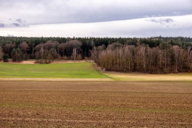 Bad Berka yakınlarındaki Ilm 'de bahar yürüyüşü muhteşem güneş ışığında - Thüringen - Almanya