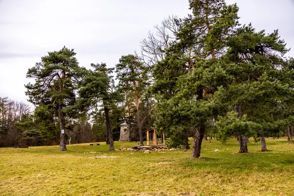 Bad Berka yakınlarındaki Ilm 'de bahar yürüyüşü muhteşem güneş ışığında - Thüringen - Almanya