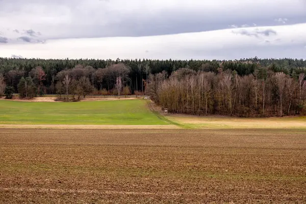 Bad Berka yakınlarındaki Ilm 'de bahar yürüyüşü muhteşem güneş ışığında - Thüringen - Almanya