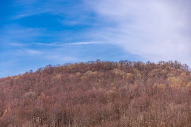 Vacha-Thüringen yakınlarındaki eşsiz Werra Vadisi 'nde bahar yürüyüşü.