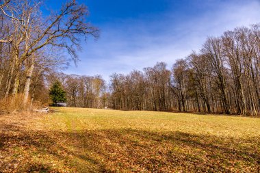 Vacha-Thüringen yakınlarındaki eşsiz Werra Vadisi 'nde bahar yürüyüşü.