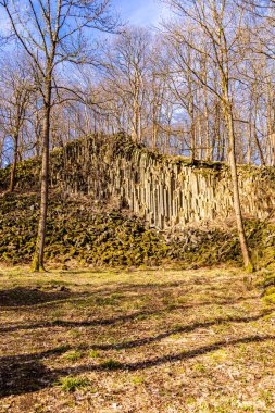 Vacha-Thüringen yakınlarındaki eşsiz Werra Vadisi 'nde bahar yürüyüşü.