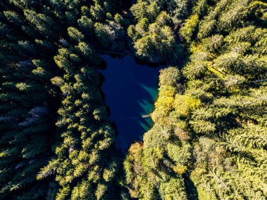 Thüringen Ormanı 'nda Zella-Mehlis ve Oberhof arasında Sternengrund' da güzel bir sonbahar yürüyüşü.